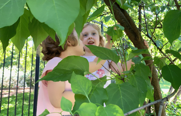 how Finland’s Early Childhood Education Model is Shaping Future Generations